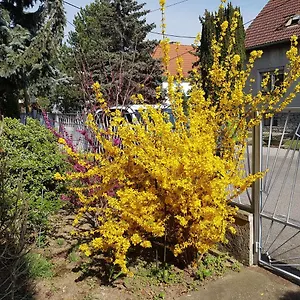 Apartment Garden Donau-city, Wien